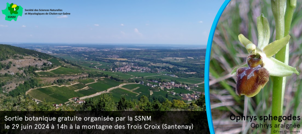  Balade botanique sur la montagne des Trois Croix samedi 29 juin