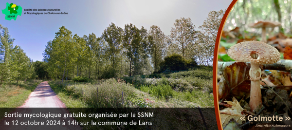 La Société des Sciences Naturelles et Mycologiques de Chalon-sur-Saône organise une sortie champignons samedi prochain 