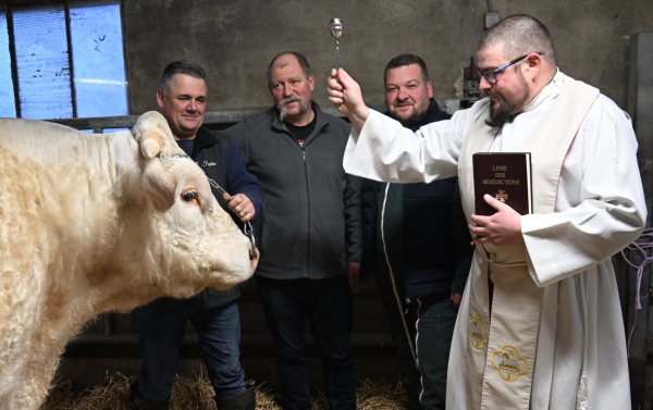 «Un Prince» béni, pour qu’il devienne roi au salon de l’agriculture