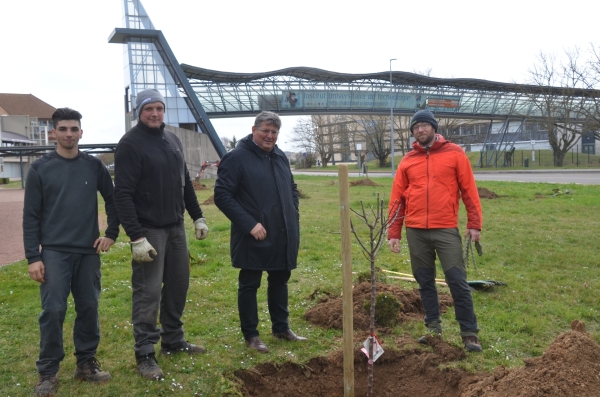 L'IUT de Chalon sur Saône se dote d'un verger 