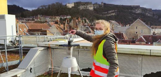 Les pollens sont attendus en Bourgogne-Franche-Comté