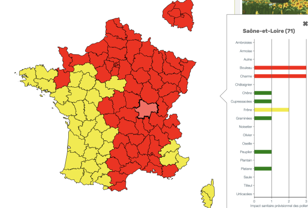 Risque élevé d'allergies ce week-end de Pâques en Bourgogne-Franche Comté 