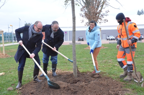 Le stade Léo Lagrange s'engage dans une phase de renaturation 