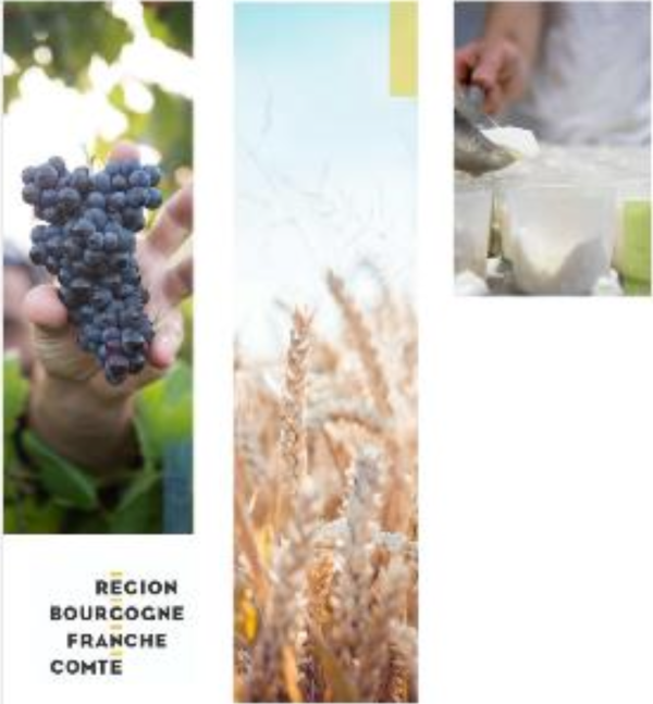 Un nouveau fonds régional d’investissement dédié aux filières agroalimentaires en Bourgogne – Franche-Comté