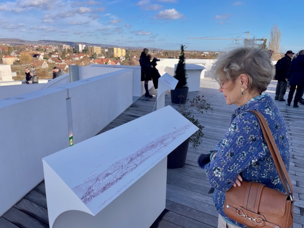 Beaune - La Cité des Climats inaugure un belvédère à 21 m de hauteur pour une lecture unique du vignoble bourguignon