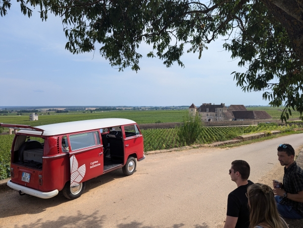 Du vintage dans les vignes