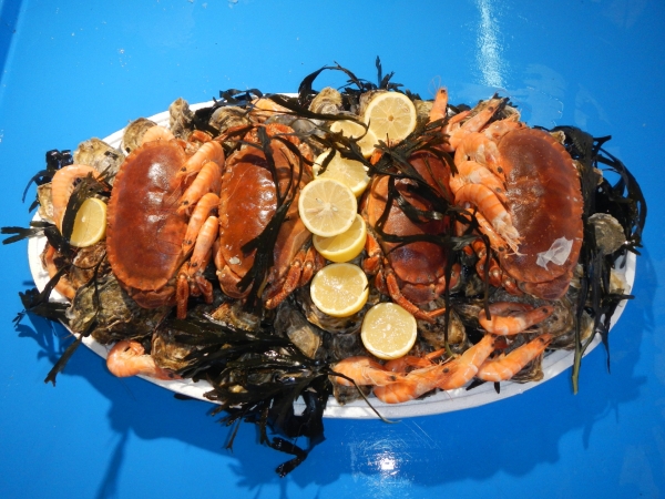 Pour vos fêtes de fin d’année, vous pouvez déjà commander vos plateaux de fruits de mer 100% fraicheur auprès de Serge Agresti !