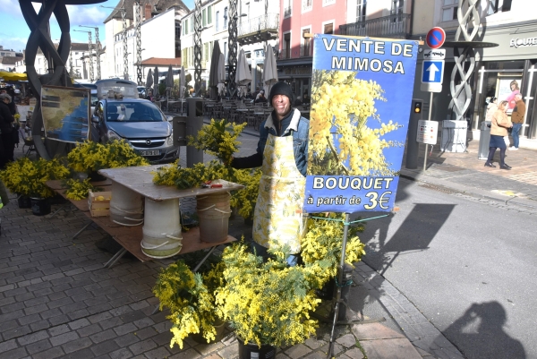 Du Mimosa sur vos marchés !  