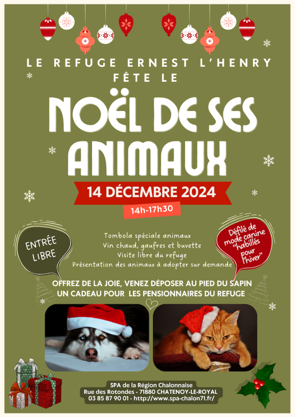 Samedi 14 décembre, la SPA chalonnaise vous invite à son Noël des Animaux 