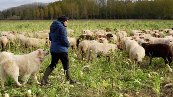 Dites non à l’élevage industriel, soutenez l’élevage responsable