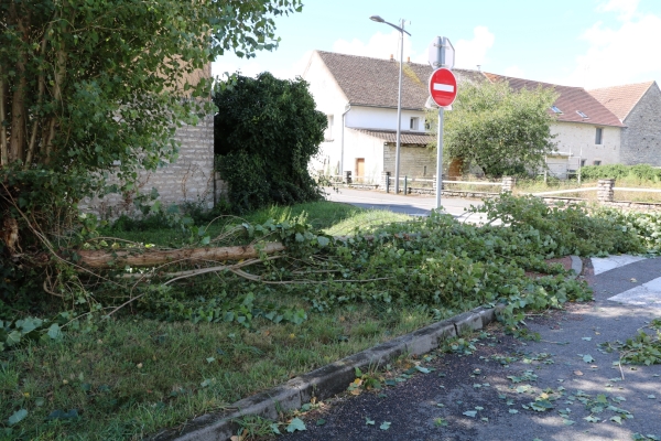 Châtenoy le Royal : Rue du 11 Novembre 1918, l’orage a laissé l’empreinte de son passage.