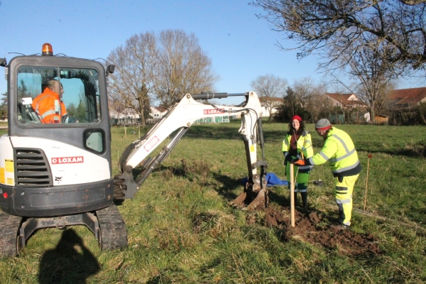 La première plantation d’arbres du "Verger de Sauvegarde" de Crissey a été lancée. 