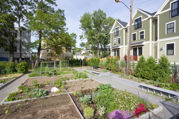 Un projet de jardin partagé et pédagogique à Givry  Toute l'actualité